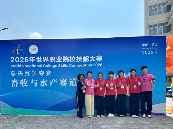 图片 7.jpg